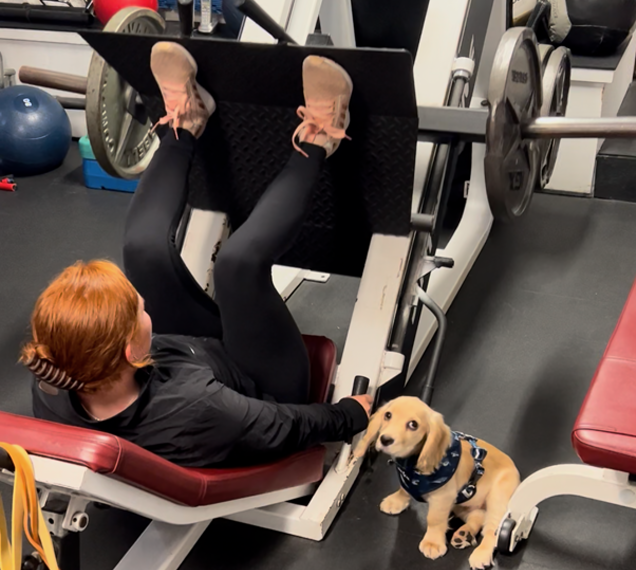 Prescriptions for Fitness